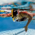 finis-rurka-czolowa-swimmer-s-snorkel-senior-technika-i-trening (2).jpg